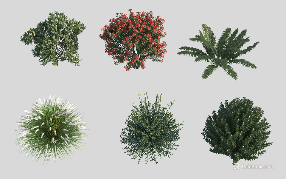 Different Shrubs Types Featuring Various Shapes Colorful Blooms and Green Foliage 3d model 