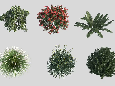 Different Shrubs Types Featuring Various Shapes Colorful Blooms and Green Foliage 3d model