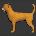 Yellow Chihuahua Dog Standing On Black Shiny Surface With Gray Background