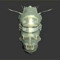 Detailed 3D Tardigrade Creature Character Featuring Light Green Segmented Body Legs And Tail Structure