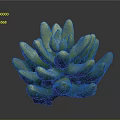 Succulent Plant With Green Yellow Plump Cluster Leaves On Dark Background