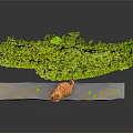 Orange Cat Doll With Big Eyes Sitting On Table Against Green Leaf Wall