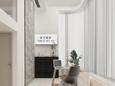 Modern Office Interior With Open Layout Desk Chair Potted Plant And Stone Curtain 3d model