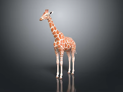 Realistic 3D Rendered Giraffe With Brown White Spots Standing On Dark Background 3d model