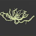 Golden Branched Organ Hair Like Radiating Dry Root Structure On White Reflective Background