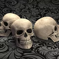 Medical Equipment Anatomical Skull Model with Detailed Structure for Medical Education Training