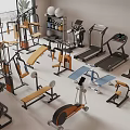 Complete Sports Equipment Collection with Treadmills Dumbbells Exercise Bikes and Benches in Modern Gym