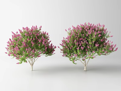 Two Ornamental Arbor Trees with Lush Green Leaves and Pink Flowers 3d model