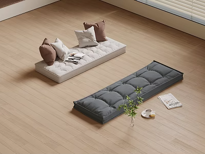 White and Gray Floor Cushions With Pillows Potted Plant And Magazines On Wooden Floor 3d model