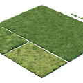 Fresh Green Grass Turf Design With Different Patches And White Borders