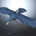 Modern Crow Birds 3d model