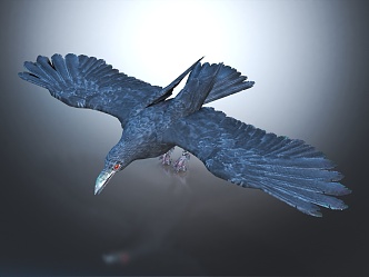 Modern Crow Birds 3d model