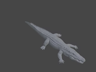 White 3D Crocodile Model With Detailed Scales And Body Structure 3d model