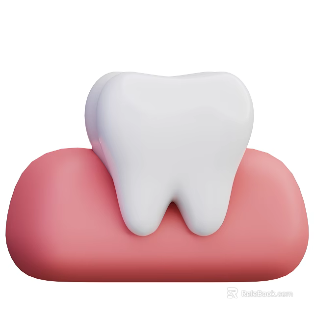 White Tooth Sitting On Pink Gum Dental Structure Model Illustration 3d model 