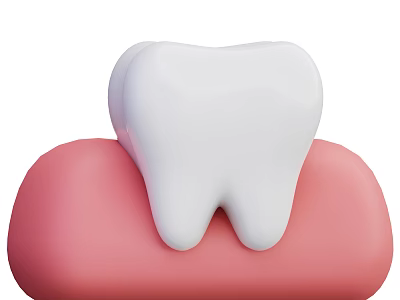 White Tooth Sitting On Pink Gum Dental Structure Model Illustration 3d model