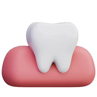 White Tooth Sitting On Pink Gum Dental Structure Model Illustration 3d model White Tooth Sitting On Pink Gum Dental Structure Model Illustration 3d model