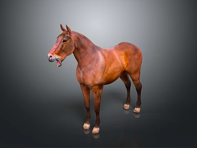 Brown Horse Standing With Open Mouth On Gray Background In Lifelike Pose 3d model