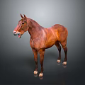 Brown Horse Standing With Open Mouth On Gray Background In Lifelike Pose