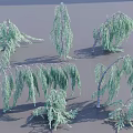 Various Weeping Shrubs With Green Foliage And Different Growth Forms