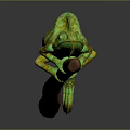Lizard Anime Lizard Chameleon Cartoon Lizard Reptile Cold Blooded Animal Reptile Class 3d model