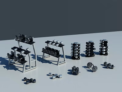 Various Dumbbells With Storage Racks And Scattered Free Weights For Home Gym 3d model