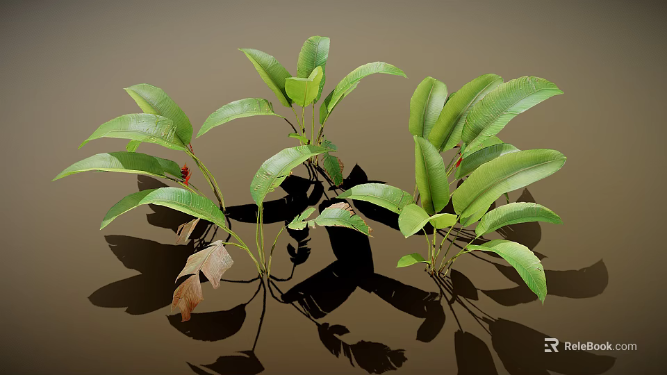 Vibrant Green Leafy Plants Featuring Broad Fresh Leaves and Cast Shadows on Neutral Backdrop 3d model 