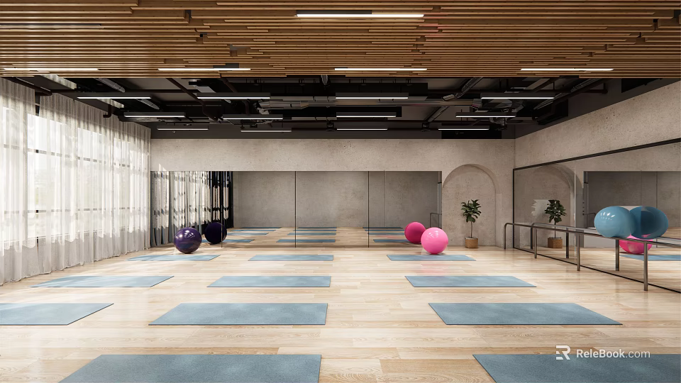 Spacious Yoga Fitness Studio With Blue Exercise Mats And Colored Fitness Balls 3d model 
