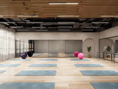 Spacious Yoga Fitness Studio With Blue Exercise Mats And Colored Fitness Balls 3d model
