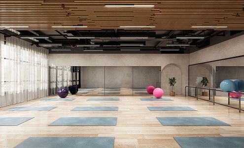 Industrial LOFT Yoga Studio Yoga Studio 3d model