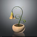 Plant With Green Spiral Stem And Yellow Bell Shaped Flower In Pink Pot With Soil