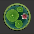 Pink Lotus Flower And Green Lily Pads In Green Patterned Bowl On Water Surface