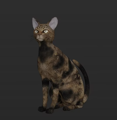 Unique Reptile With Distinctive Patterns Sitting On Rock In Natural Habitat 3d model