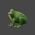 Cute Green Frog 3D Model on Blue Background with Animated Features 3d model