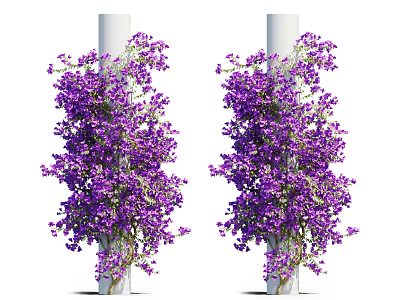 Abundant Lush Purple Flowering Vines Twining Around White Pillars With Fresh Blooms 3d model