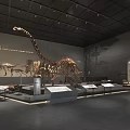 Dinosaur Skeleton Exhibition At Cultural Center With Display Cases And Wall Murals