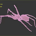 Close Up View Of Large Brown Spider On Gray Background With Long Legs