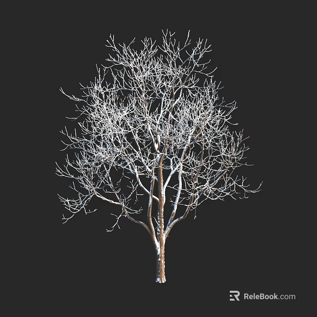 Leafless Tree with Brown Trunk and White Covered Branches against Black Background 3d model 