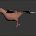 Pink Pigeon Animal Painting with Spread Wings on Dark Background and Reflection