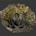 Natural Wooden Stone Stump With Mossy Base And Intricate Surface Texture