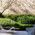 Outdoor Lounge Chairs With Modern Design Against Stone Wall And Green Bushes