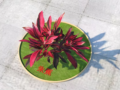 Cordyline Fruticosa Arbor With Red Purple Leaves On Round Green Mat On Stone Pavement 3d model