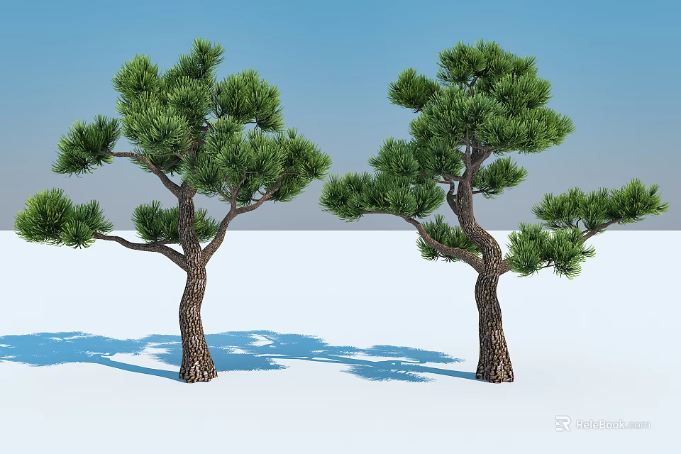 Two Pine Trees With Green Foliage And Brown Trunks On Snowy Ground Under Blue Sky 3d model 