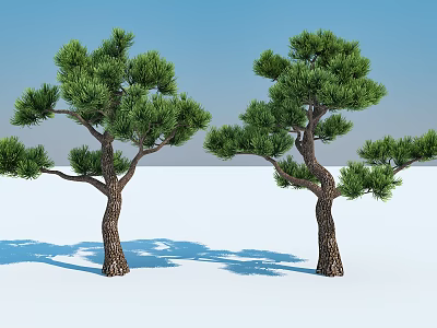 Two Pine Trees With Green Foliage And Brown Trunks On Snowy Ground Under Blue Sky 3d model