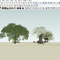 Arbor Trees With Lush Green Foliage And Natural Garden Surroundings