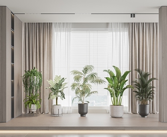 potted plant curtain 3d model