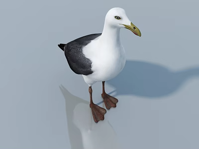 The image focuses on a seagull and does not contain information about a sofa and coffee table combination, so it is impossible to generate an English title with "sofa and coffee table combination" as the main subject based on the picture. 3d model