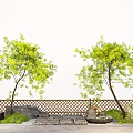 Courtyard landscape modeling tree tree red lasagna street tree 3d model