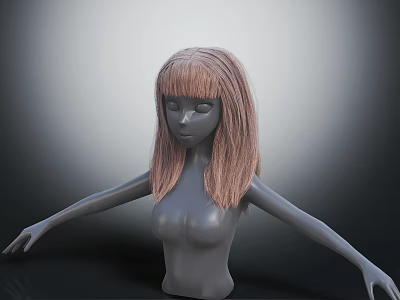 Human Torso Model With Brown Long Hair Bangs And Extended Arms 3d model