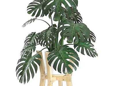 Decorative Plant Arrangement With Monstera Leaves And Wooden Stand For Home Decor 3d model