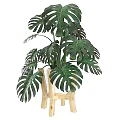 Decorative Plant Arrangement With Monstera Leaves And Wooden Stand For Home Decor